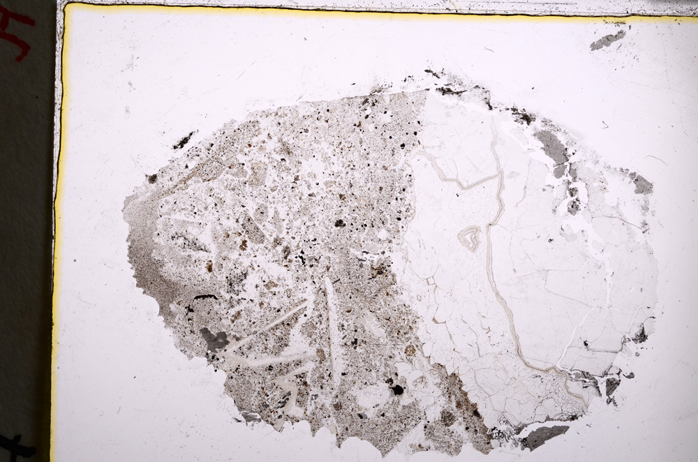 Plane Polarized, E22274