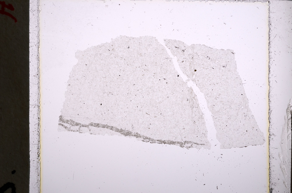 Plane Polarized, E22276