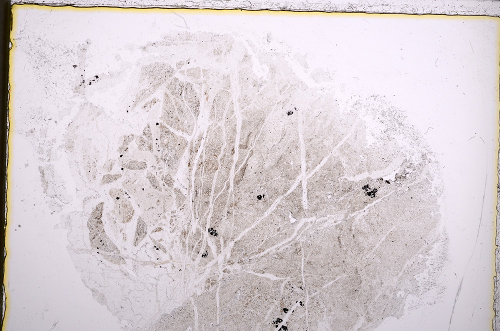 Plane Polarized, E22277