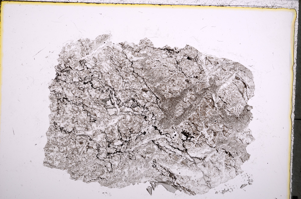 Plane Polarized, E22278