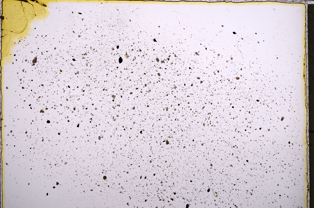 Plane Polarized, E22297