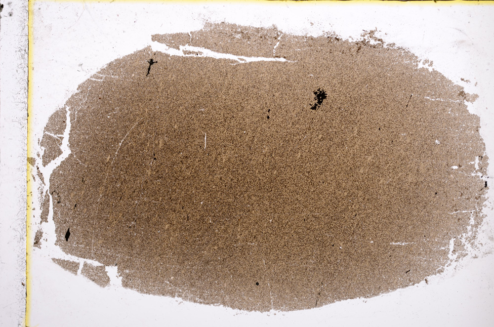 Plane Polarized, E22312