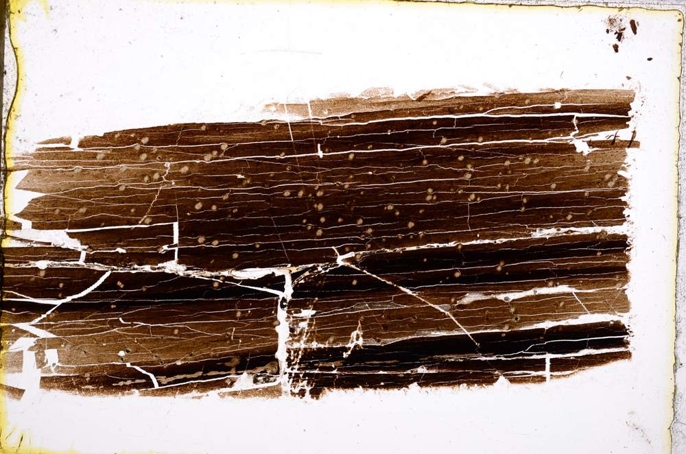 Plane Polarized, E22313