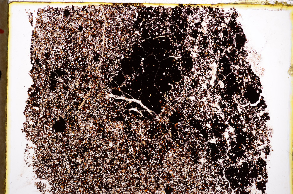 Plane Polarized, E22335