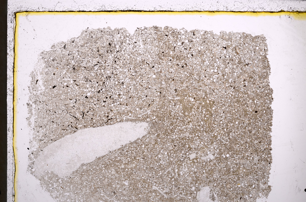 Plane Polarized, E22340