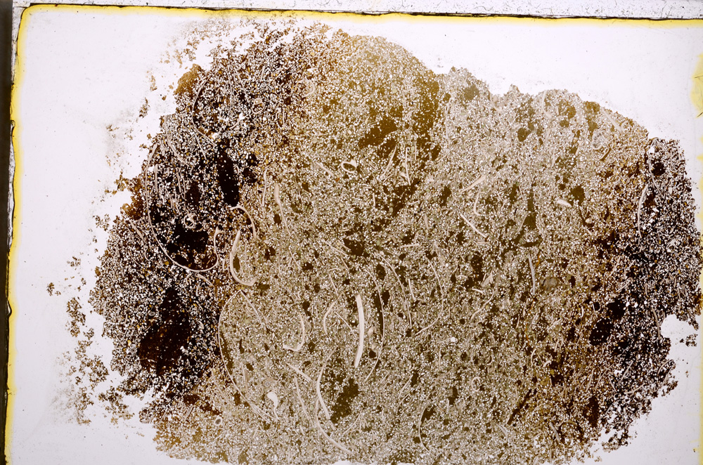 Plane Polarized, E22343