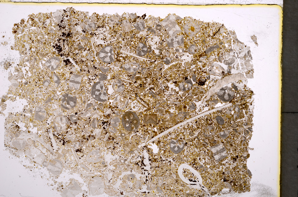 Plane Polarized, E22347