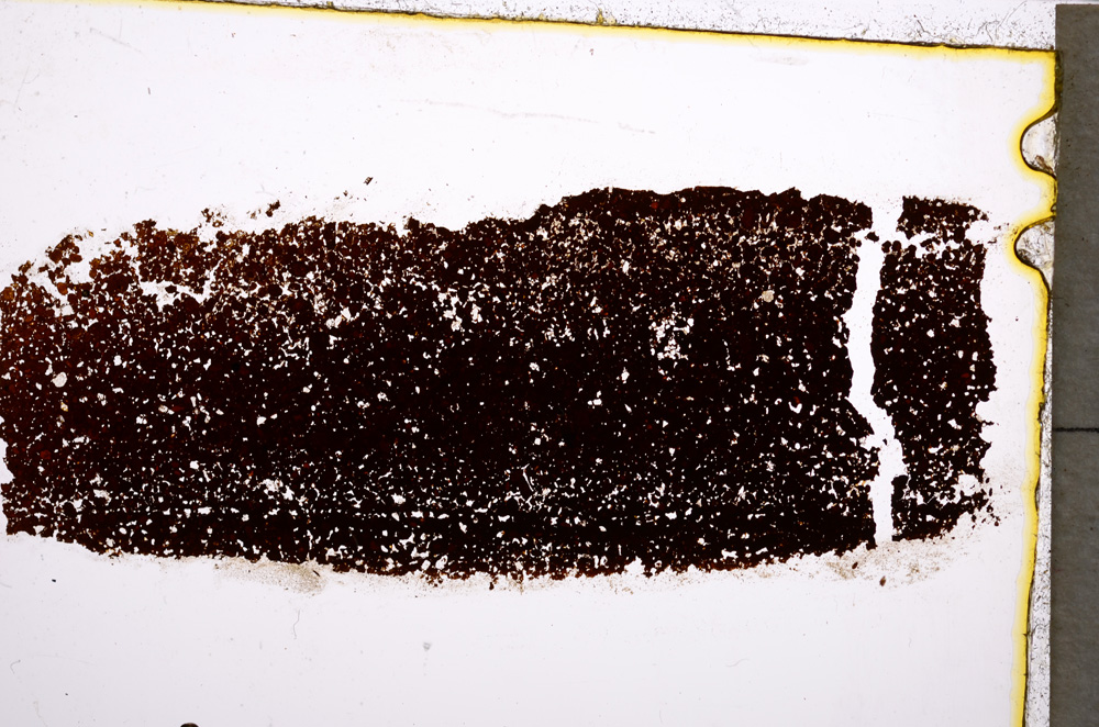 Plane Polarized, E22352