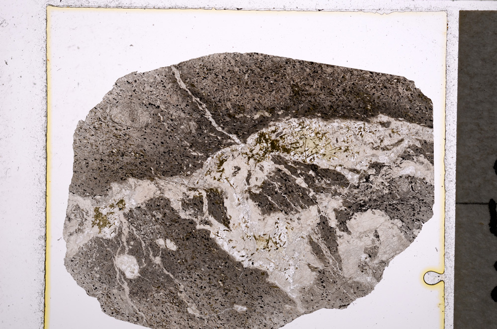 Plane Polarized, E22381