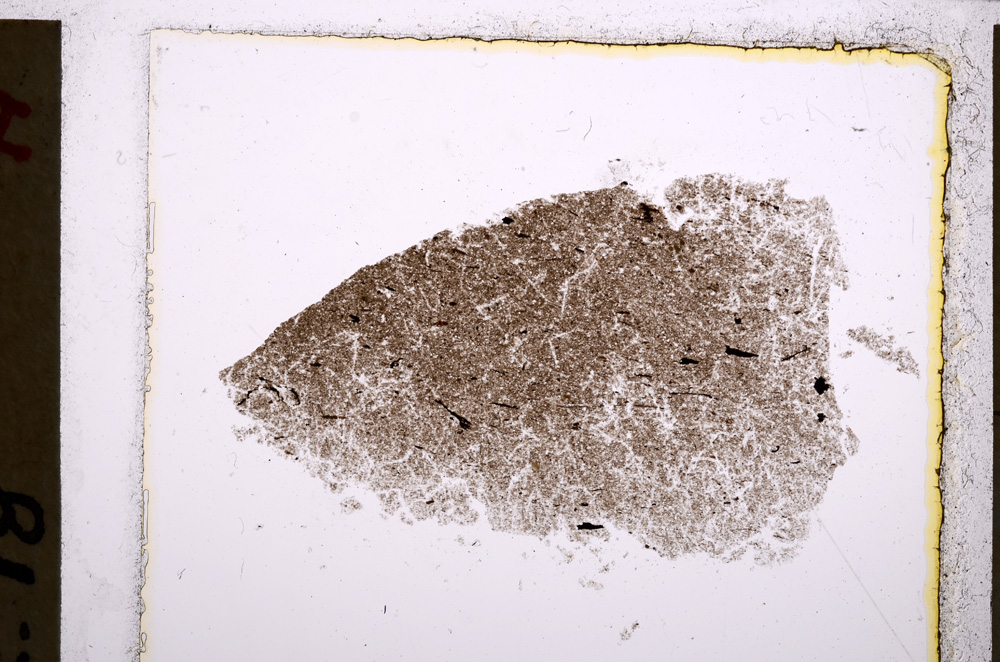 Plane Polarized, E22385