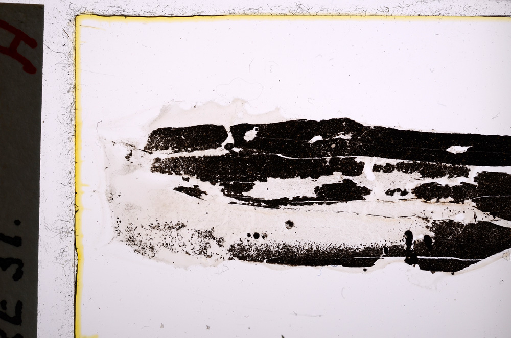 Plane Polarized, E22395
