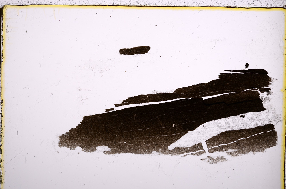 Plane Polarized, E22396