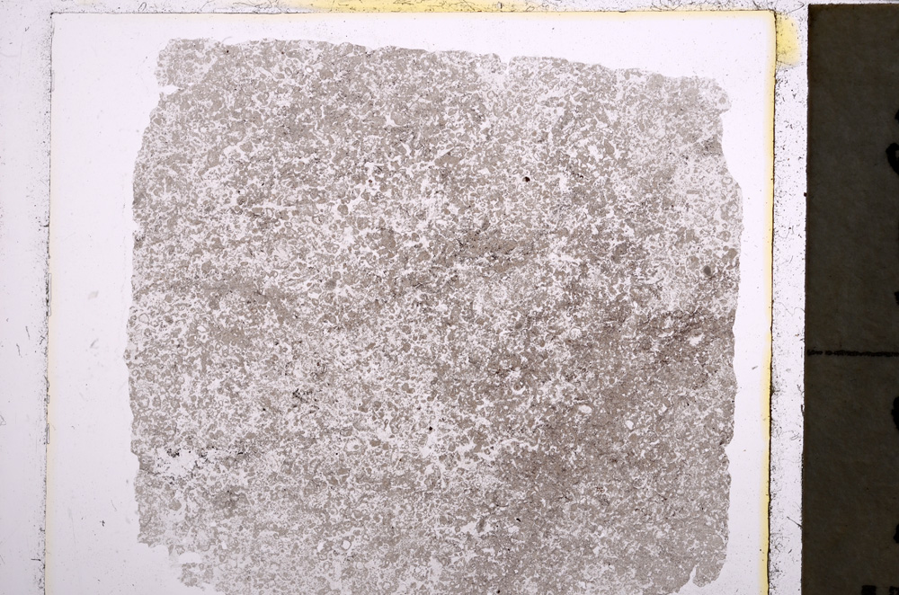 Plane Polarized, E22441