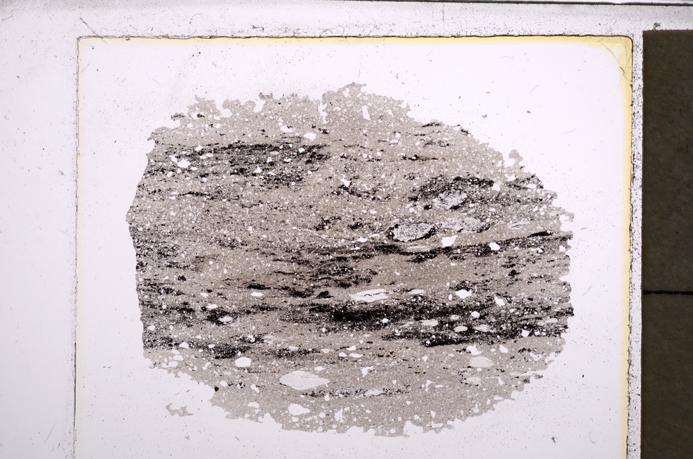 Plane Polarized, E22443