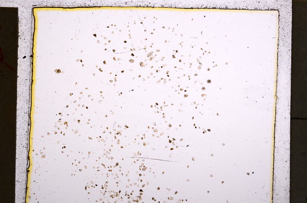 Plane Polarized, E22472