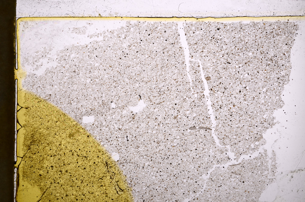 Plane Polarized, E22514