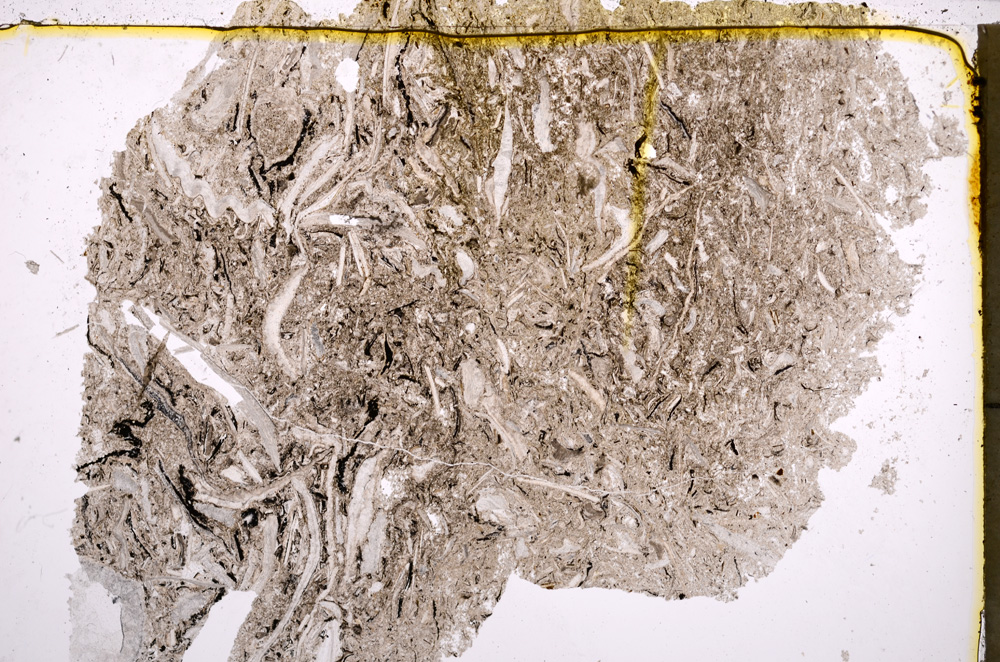 Plane Polarized, E22517