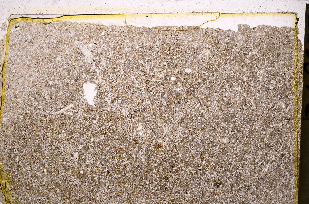 Plane Polarized, E22519