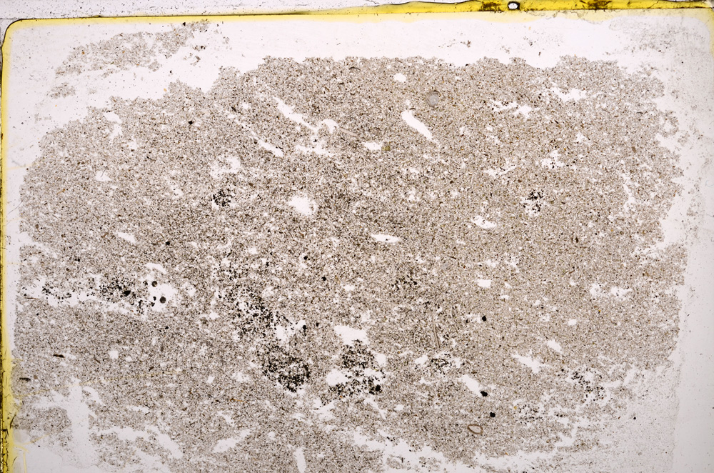 Plane Polarized, E22520