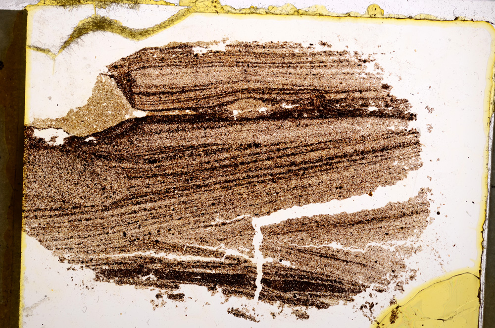 Plane Polarized, E22521