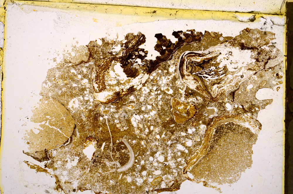 Plane Polarized, E22522