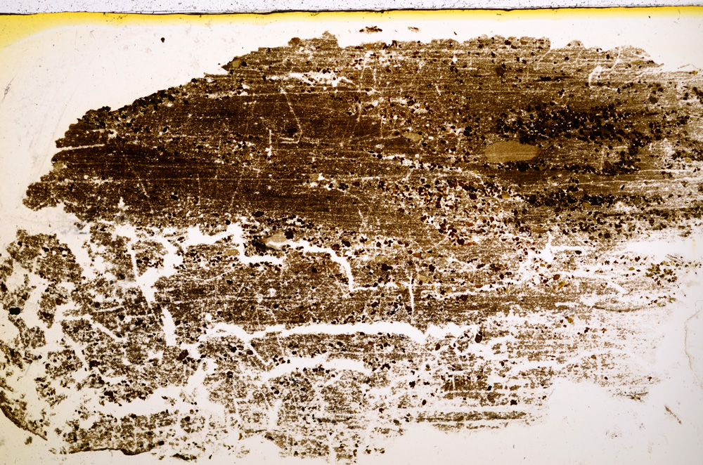 Plane Polarized, E22547