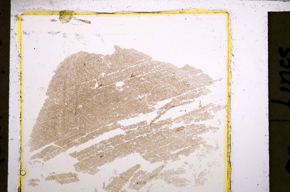 Plane Polarized, E22550