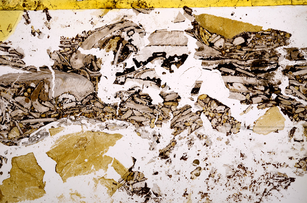 Plane Polarized, E22551