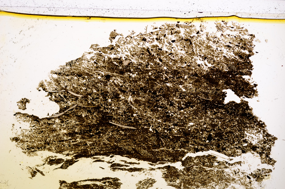 Plane Polarized, E22554