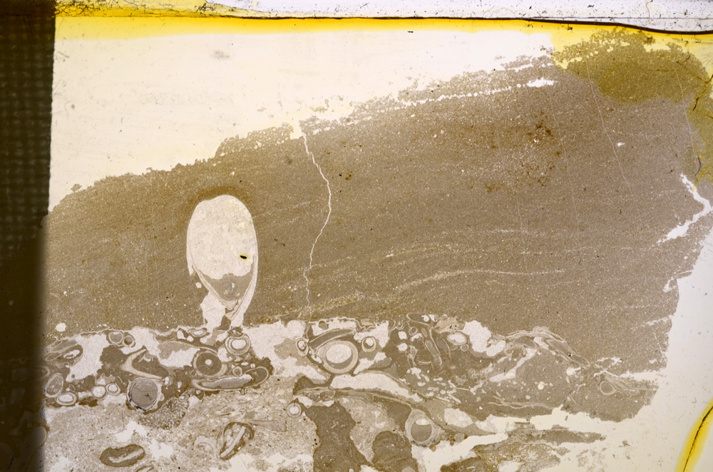 Plane Polarized, E22557