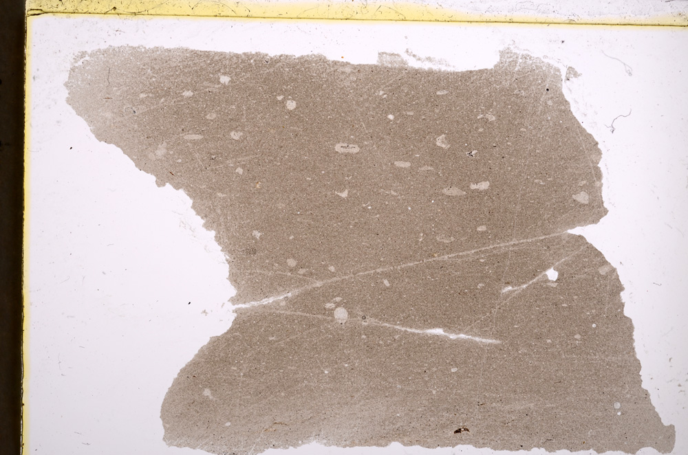 Plane Polarized, E22559