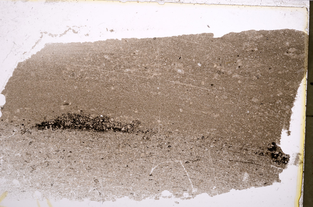 Plane Polarized, E22561