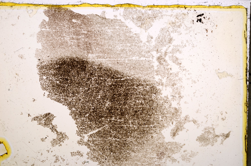 Plane Polarized, E22604