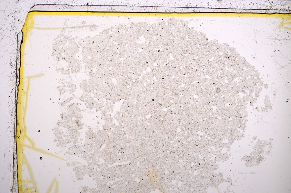 Plane Polarized, E22606