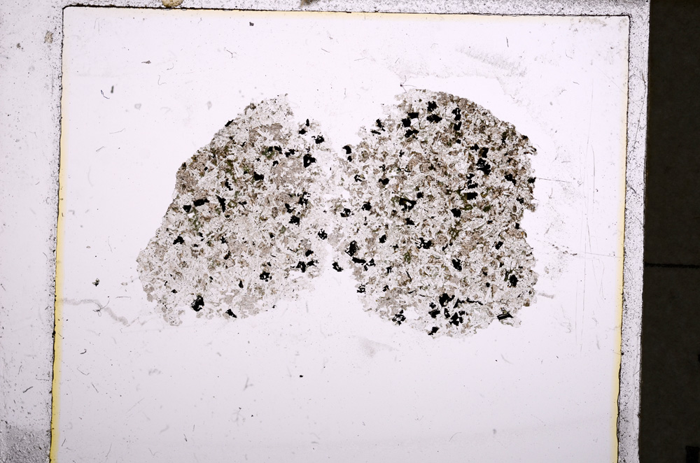 Plane Polarized, E22626