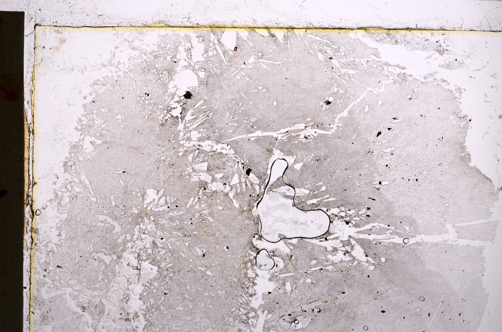 Plane Polarized, E22642