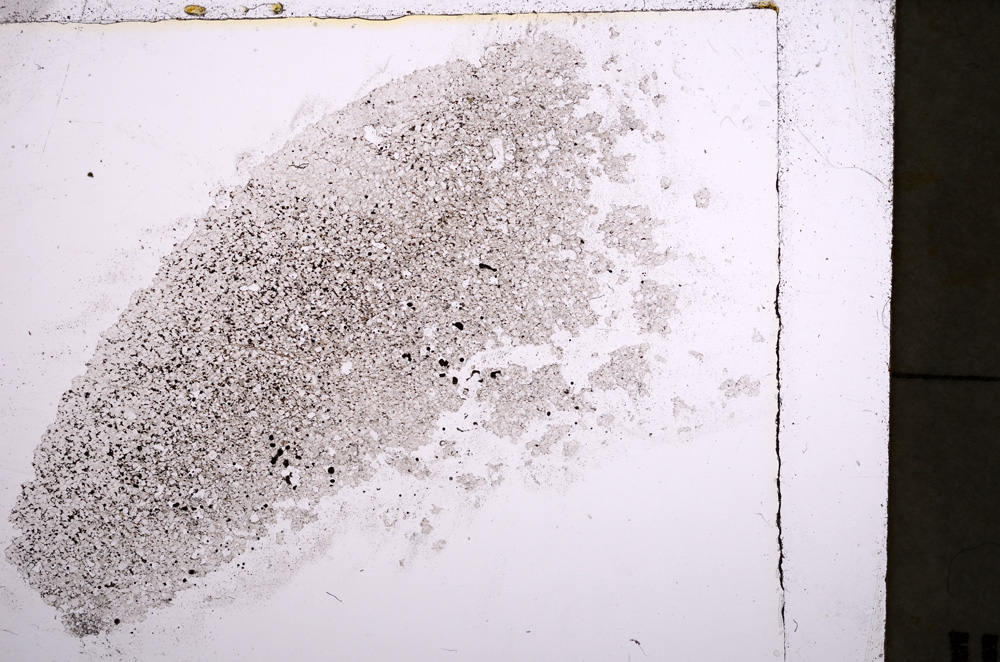 Plane Polarized, E22654