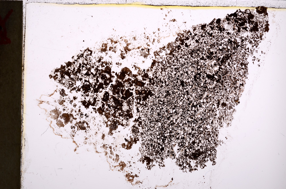 Plane Polarized, E22657