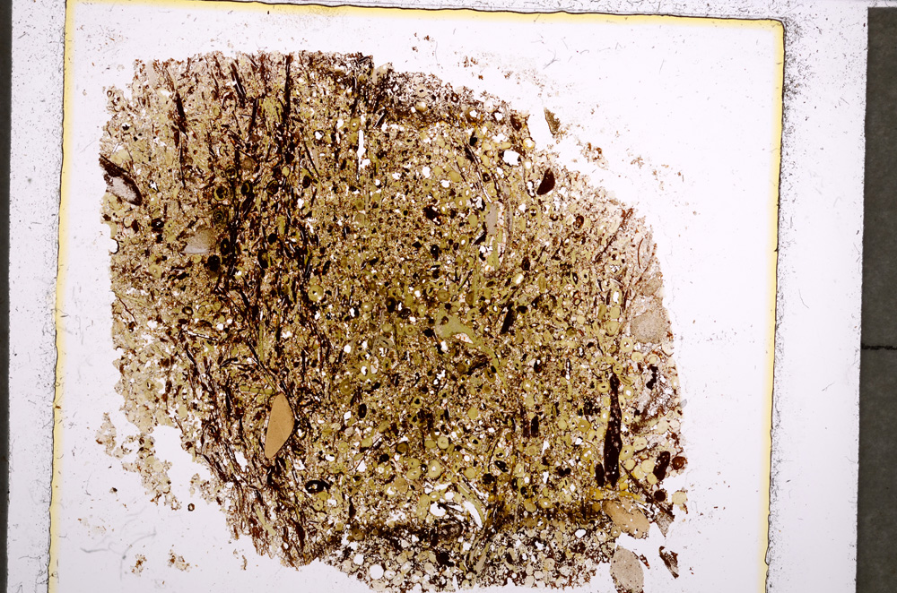 Plane Polarized, E22678