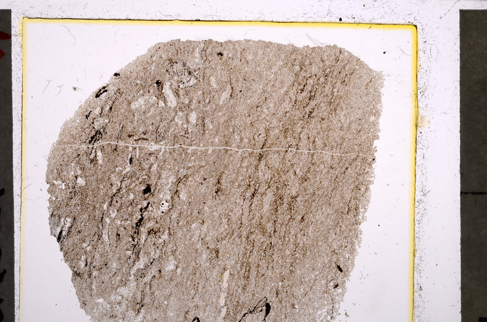 Plane Polarized, E22690