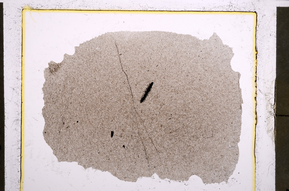 Plane Polarized, E22691