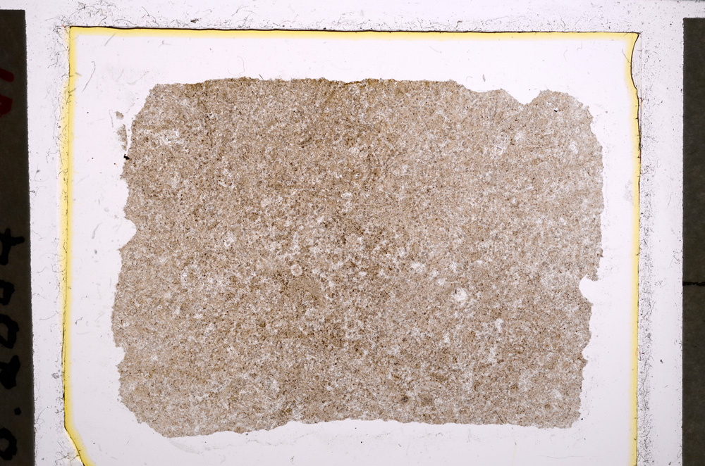 Plane Polarized, E22692