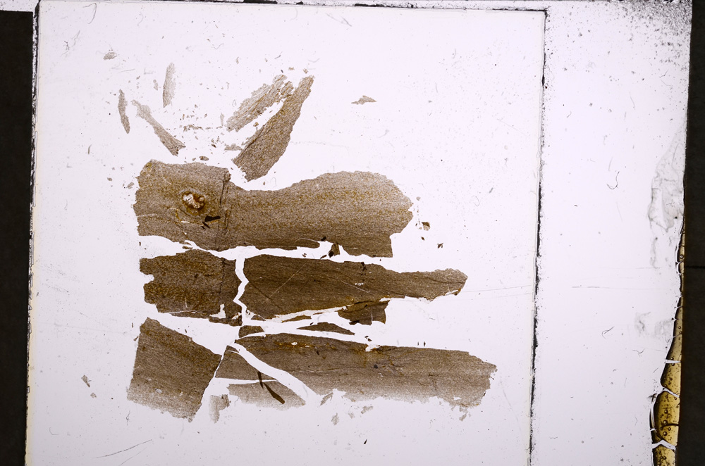Plane Polarized, E22727