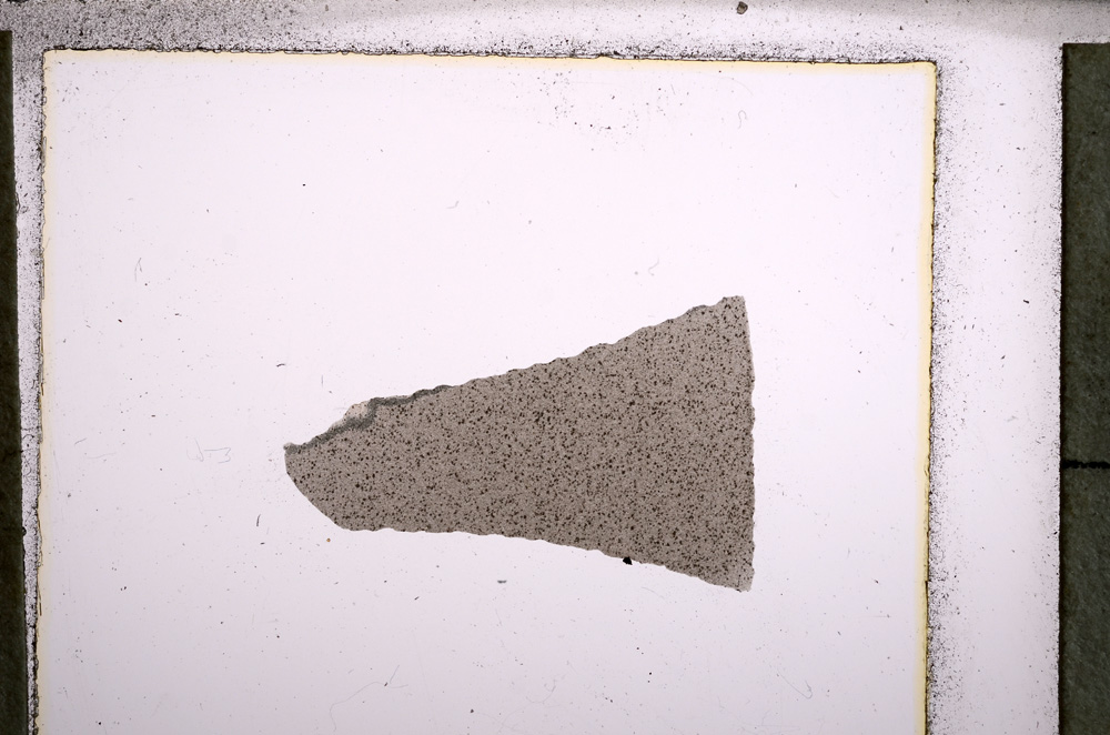 Plane Polarized, E22775