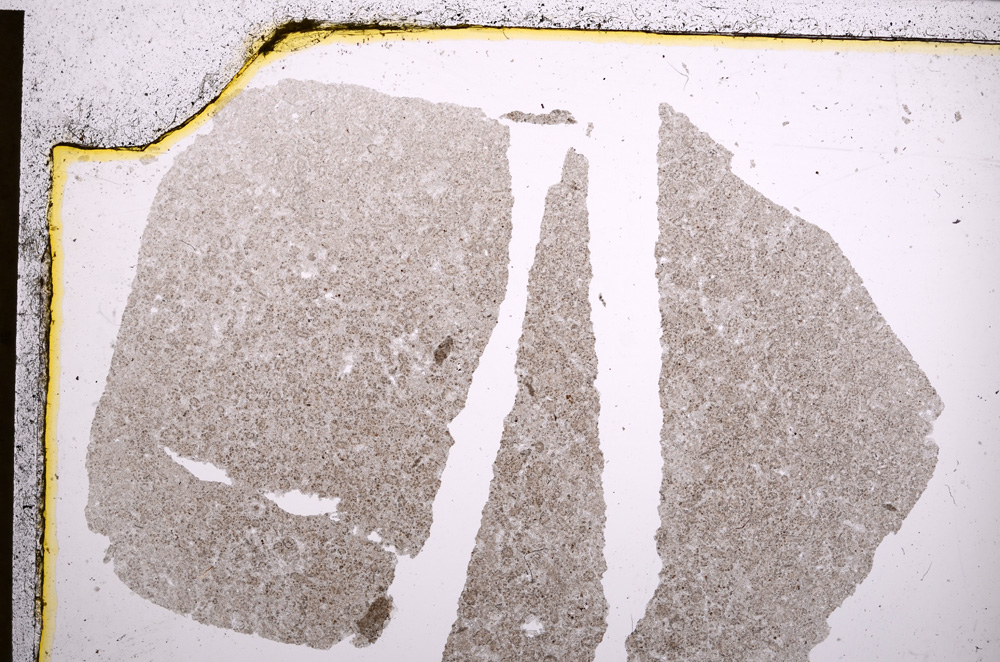 Plane Polarized, E22825