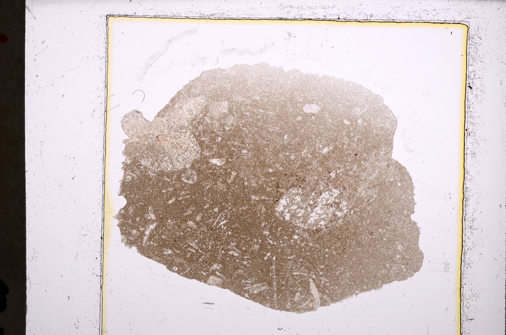 Plane Polarized, E22843