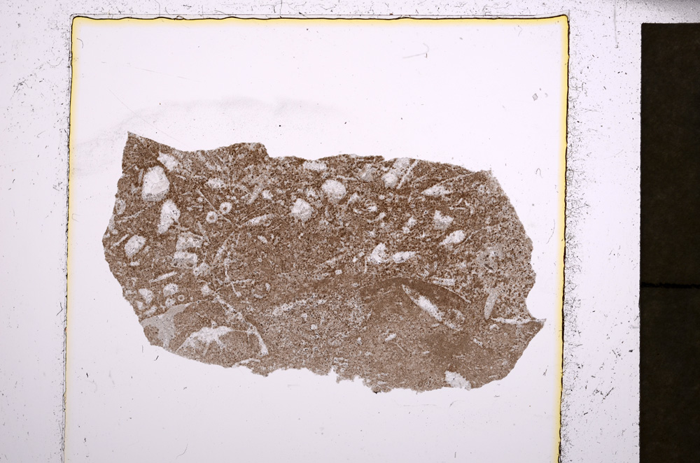 Plane Polarized, E22844