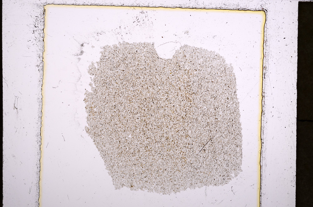 Plane Polarized, E22845