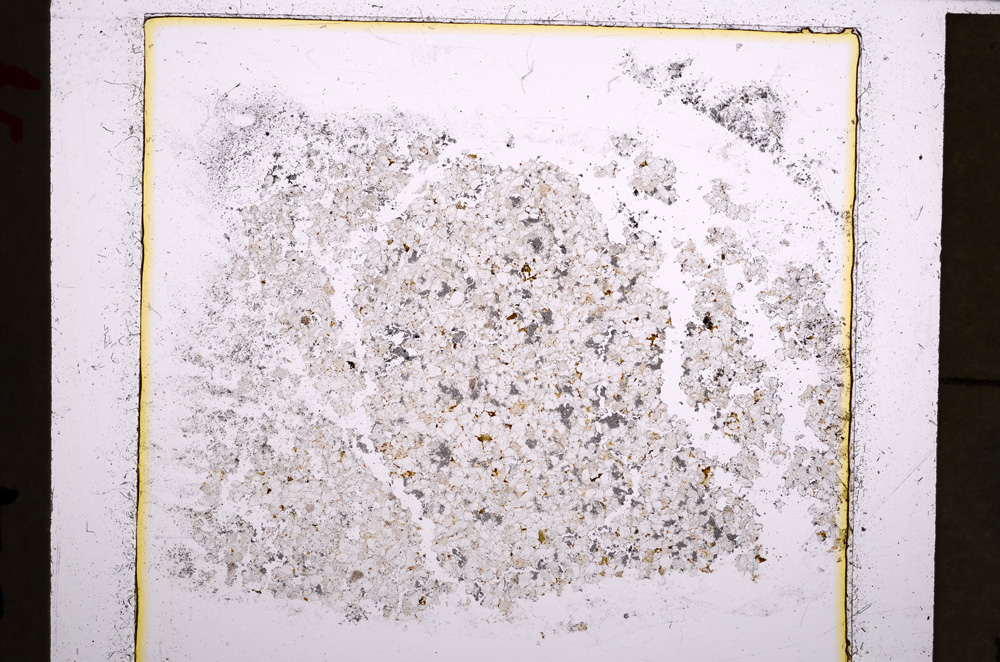 Plane Polarized, E22852