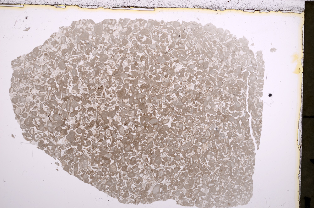 Plane Polarized, E22874